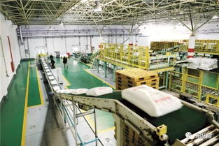 瓶蓋背后的產(chǎn)業(yè)密碼 從撫順技術(shù)轉(zhuǎn)讓看飲料包裝產(chǎn)業(yè)升級(jí)