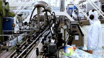 煙臺(tái)職業(yè)學(xué)院?jiǎn)握袩衢T專業(yè)解析與信息系統(tǒng)運(yùn)行維護(hù)服務(wù)專業(yè)前景展望